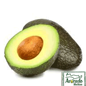 Reed AVOCADO CULTIVATION, CULTIVATION PRICE MARKET BUY, TREE/TREE PLANT, MARKET PLANTS, nursery, Greece,Crete